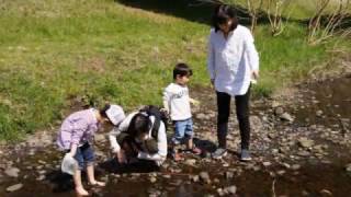 2017 東京   野川公園　ピクニック