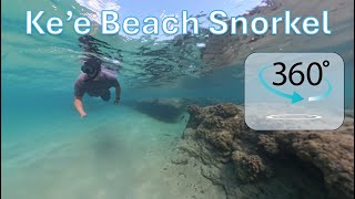 Kauai 2024 - Ke'e Beach Snorkel - 360 Video