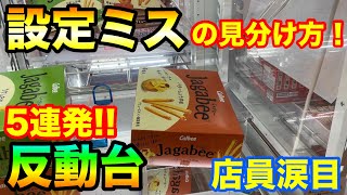 【クレーンゲーム】482 店員涙目 設定ミスの見分け方!! セガの反動台5連発!! お菓子大量ゲット!! UFOキャッチャー 攻略