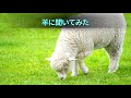 【歌入り】聖歌2部7番「しあわせってなんだろう」【世界平和統一家庭連合】