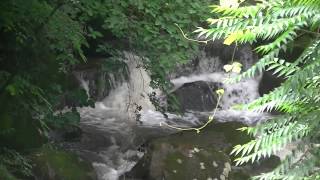 宮城県丸森町大張地区「百々目木の滝」樹林が生い茂り大きな岩は苔が生え神秘な場所です