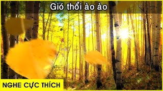 [ Gió thổi cực ÊM ] tiếng gió thổi \