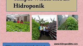 WA: 0838.7976.6004 | Tempat Agrowisata Kebun Hidroponik Di cinere