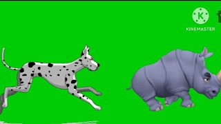 animal race competition green screen video animal fast running crossing stamped#animals