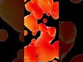 relaxing lava lamp vertical screen saver