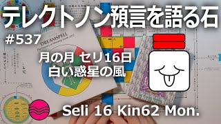 【テレクトノン預言を語る石】537・TELEKTONON 2.16・月の月・Seli セリ16日・白い惑星の風・Kin62・青い律動の嵐の年 #新しい時間のチャンネル #13の月の暦