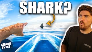 Shark Scientist REACTS to Transparent Kayak Shark Encounter