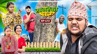 सागरेको घर “Sagare Ko Ghar”Episode 172॥New nepali Comedy Serial॥By Sagar pandey॥17 november 2024॥