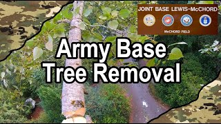 Army Base Tree Removal