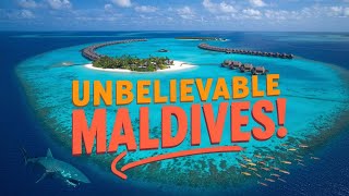 A Comprehensive Guide to the Maldives: Facts You Should Know//Tiny Trip