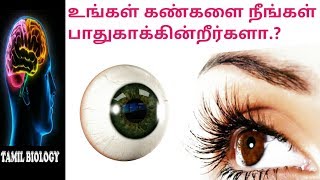 உங்கள் கண்களை நீங்கள் பாதுகாக்கின்றீர்களா.? | Health tips | TAMIL BIOLOGY