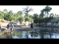 Mana Pools Adventure Trail | Chitake Springs