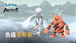 色違電擊獸 shiny Electabuzz in arceus 色違EP52