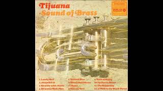 Tijuana - Sound of Brass (the torero band)