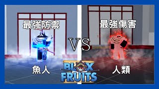 【Blox Fruits】魚人VS人類 最強防禦VS最強傷害 誰會贏呢?