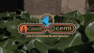 Caltech CEMI Video