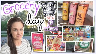 NEW items at Walmart Grocery Pickup Haul! | Homemaking