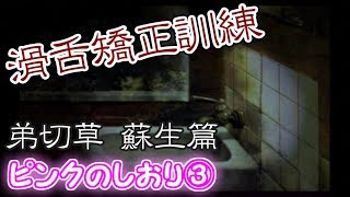 【滑舌矯正訓練】弟切草 蘇生篇 ピンクのしおり  Part03【実況】