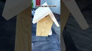 Me who has built a bird house: #Shorts #Crafts #Birdhouse