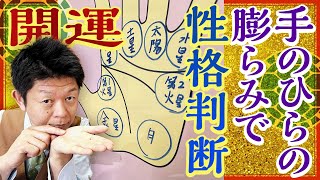 【手相】手のひらの膨らみ(丘)にも意味があるんです！『島田秀平のお開運巡り』