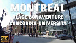 [4K] 🇨🇦 Montréal, CANADA - Walking from place Bonaventure to Concordia University