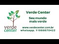 Frutíferas Raríssimas compradas pela Internet no Verde Center RECOMENDO!!!