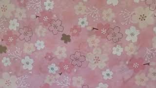 franny Live Stream