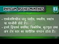 aschelminthes phylum aschelminthes phylum aschelminthes in hindi