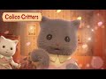 The Persian Family 🐱 Mini Episodes Season 4 -Peony- #3 | Calico Critters