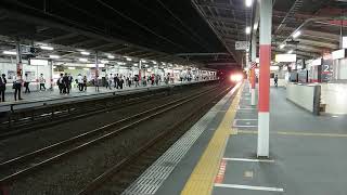 19/6/5 EF210-123 ひふみん 桃太郎 西国分寺駅通過