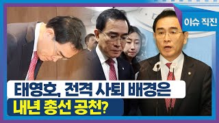 [이슈 직진] 태영호, 전격 사퇴 배경은 내년 총선 공천? | MBN 230510 방송