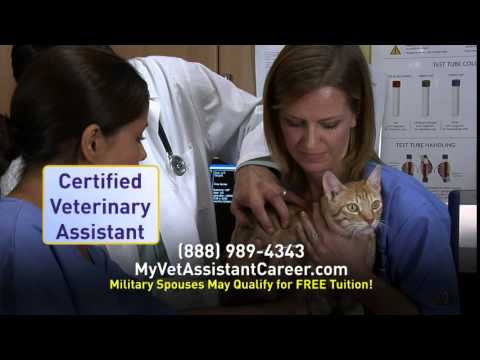 Become A Veterinary Assistant - Animal Behavior College Veterinary ...