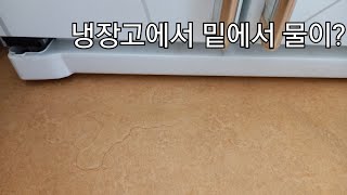 냉장고 밑에서 물이? #shorts