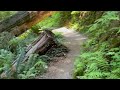 come hiking with me in the redwoods 2 a hiking pov