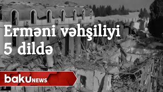 Erməni vəhşiliyi dünyaya 5 dildə çatdırılıb - Baku TV