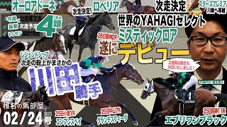 【椎チャンネル】椎名の馬部屋_2/23撮影_近況報告