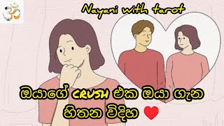 ඔයාගේ crush එක ඔයා ගැන හිතන විදිහ ♥️|#tarot #love | #crush |The way your crush thinks about you|