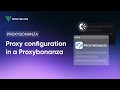 How to set up a proxy in Proxybonanza extension