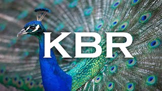 KBR National Park | India | The Destination