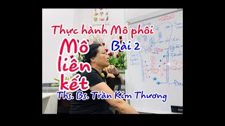 Bài giảng thực hành Mô Phôi - Bài 2 - Mô liên kết - Xương   Ths. Bs. Trần Kim Thương