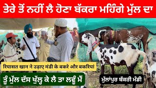 रियासत खान भाई ने उड़ाया टाप बीटल माल ll MULLANPUR MANDI ll #iltilanatv #goat