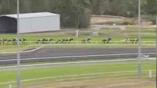 2013.06.29 Yalumba Caloundra Cup - Zennista