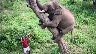 When Wild Animals Act Totally Weird π