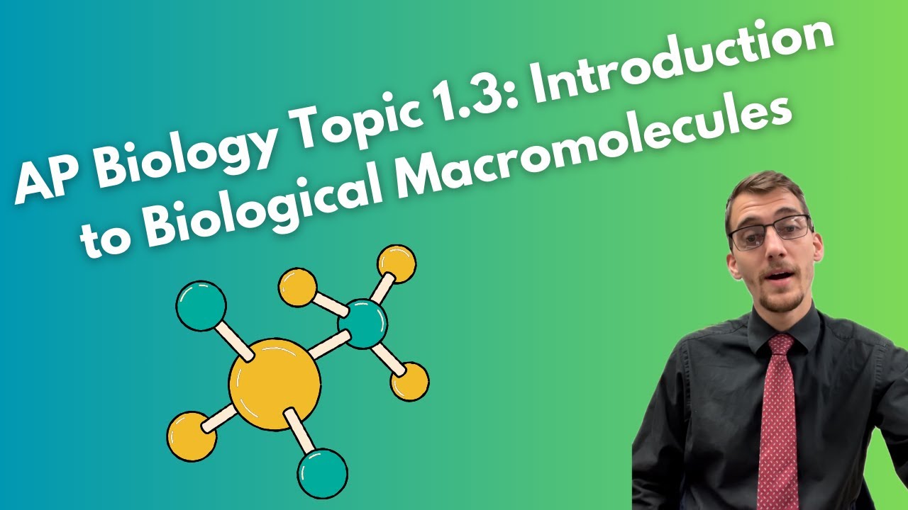 1.3 Introduction To Biological Macromolecules - AP Biology - YouTube