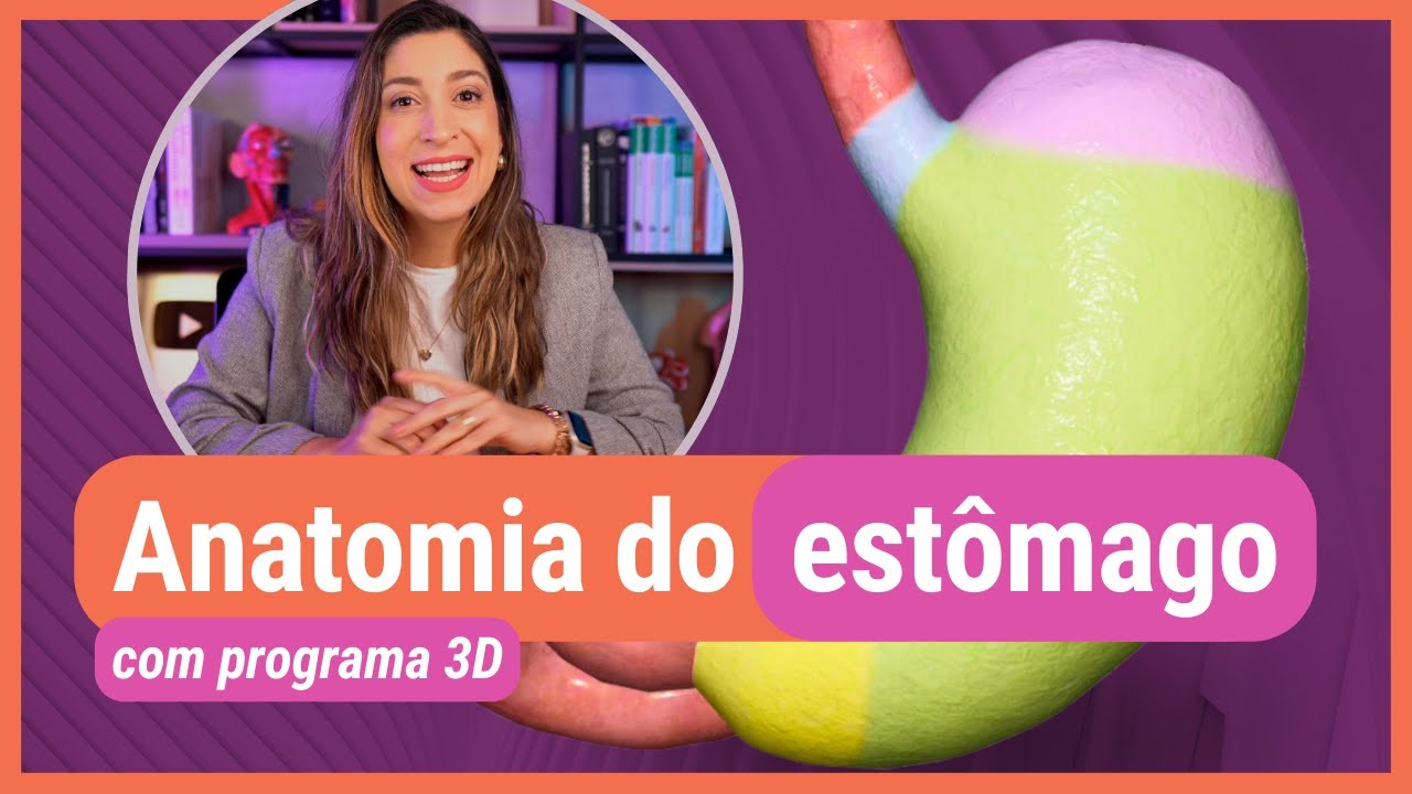 Anatomia Do Estomago Humano Feminino