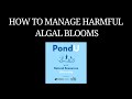 Pond University: How to Manage Harmful Algal Blooms | Ep 39