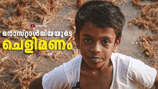 നൊസ്റ്റാൾജിയയുടെ ചെളിമണം | Nostalgia | Short Video | Pallotty 90s Kids | Naattu Pappadam Song