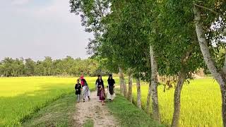 গ্রাম বাংলার সুন্দর দৃশ্য। গ্রামের ভিডিও। গ্রাম ছাড়া ঐ রাঙা মাটির পথ...। পরশুরাম- ফেনী