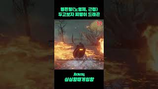 [엘든링]초회차(노영체, 근접) -찐따 드래곤 두고보자 #eldenring  #gaming #games #게임