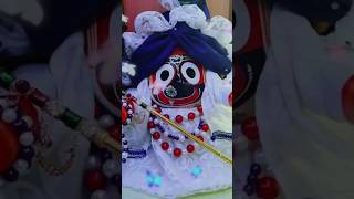 ତୁ ବଡଦାଣ୍ଡେ ଯିବୁ ମୁଁ କୋକେଇରେ ଯିବି🚩jay🌺jagannath 🙏 new song status video #2023 #viralshorts